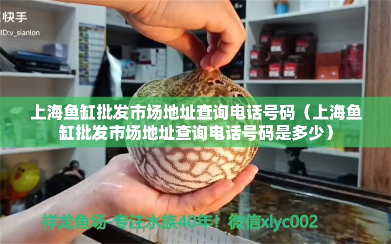 上海魚缸批發(fā)市場(chǎng)地址查詢電話號(hào)碼（上海魚缸批發(fā)市場(chǎng)地址查詢電話號(hào)碼是多少） 量子養(yǎng)魚技術(shù)