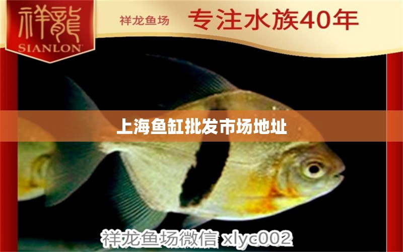 上海魚缸批發(fā)市場地址 其他品牌魚缸