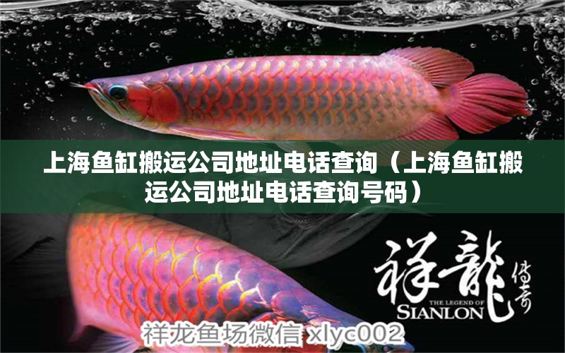 上海魚缸搬運公司地址電話查詢（上海魚缸搬運公司地址電話查詢號碼）