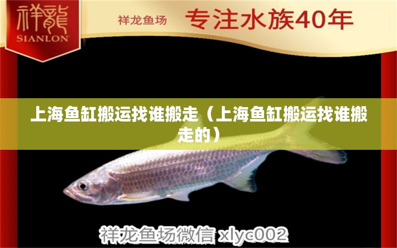 上海魚缸搬運找誰搬走（上海魚缸搬運找誰搬走的）