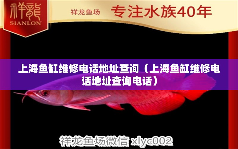 上海魚(yú)缸維修電話地址查詢（上海魚(yú)缸維修電話地址查詢電話） 其他品牌魚(yú)缸