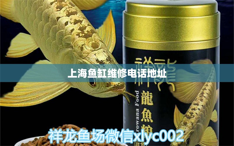 上海魚(yú)缸維修電話地址