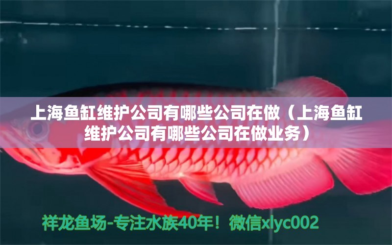 上海魚缸維護(hù)公司有哪些公司在做（上海魚缸維護(hù)公司有哪些公司在做業(yè)務(wù)）