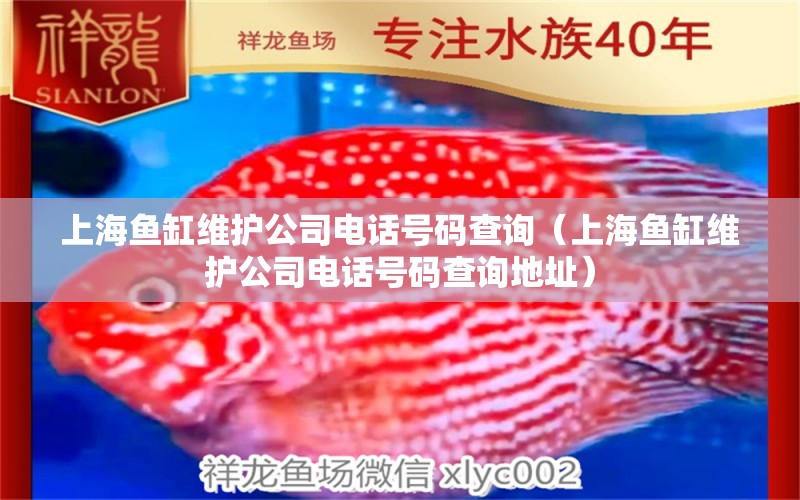 上海魚缸維護(hù)公司電話號(hào)碼查詢（上海魚缸維護(hù)公司電話號(hào)碼查詢地址）