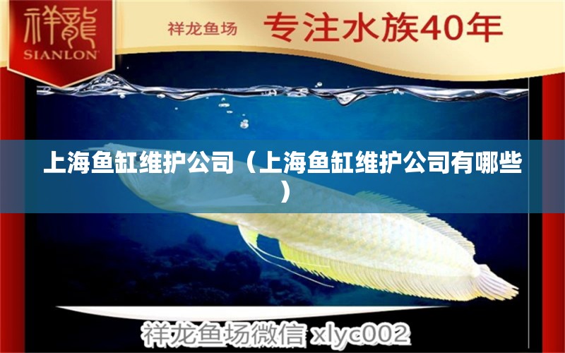 上海魚(yú)缸維護(hù)公司（上海魚(yú)缸維護(hù)公司有哪些）