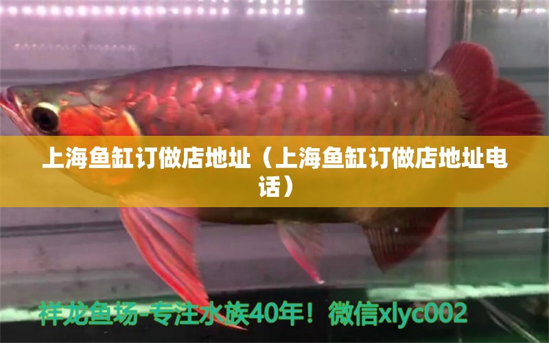 上海魚缸訂做店地址（上海魚缸訂做店地址電話）