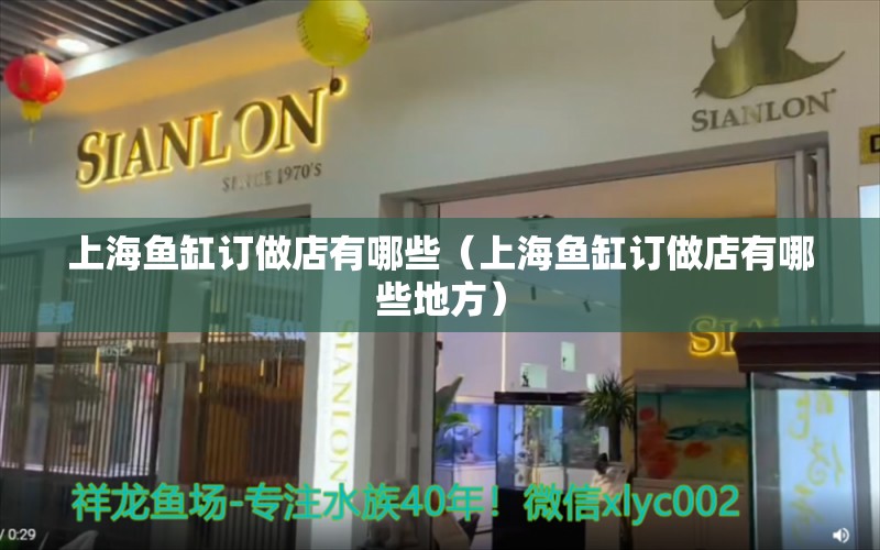 上海魚缸訂做店有哪些（上海魚缸訂做店有哪些地方）