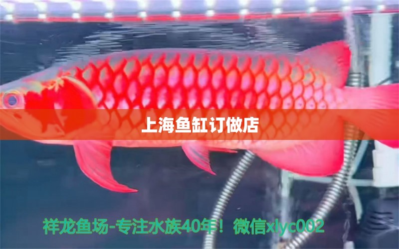 上海魚缸訂做店