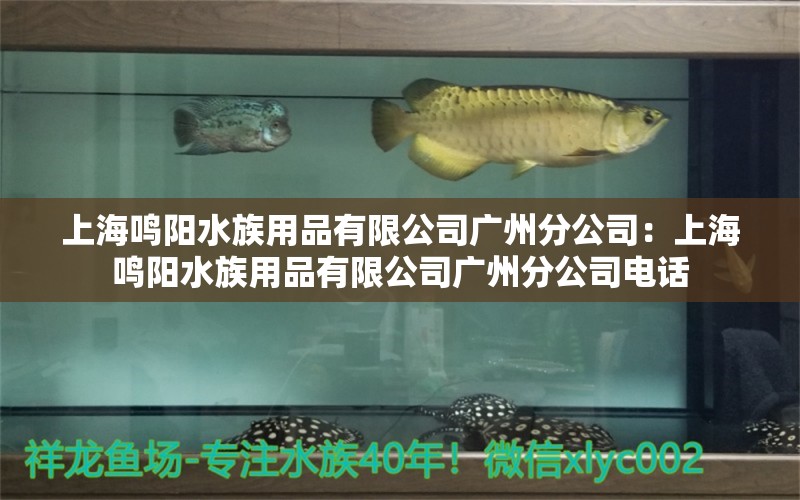 上海鳴陽(yáng)水族用品有限公司廣州分公司：上海鳴陽(yáng)水族用品有限公司廣州分公司電話