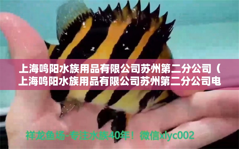 上海鳴陽(yáng)水族用品有限公司蘇州第二分公司（上海鳴陽(yáng)水族用品有限公司蘇州第二分公司電話）