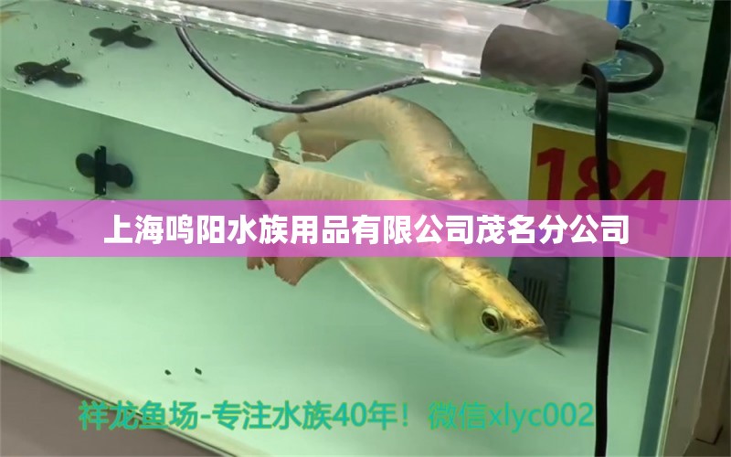 上海鳴陽水族用品有限公司茂名分公司 水族用品