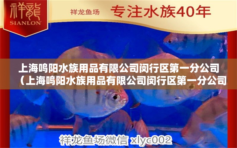 上海鳴陽(yáng)水族用品有限公司閔行區(qū)第一分公司（上海鳴陽(yáng)水族用品有限公司閔行區(qū)第一分公司招聘）