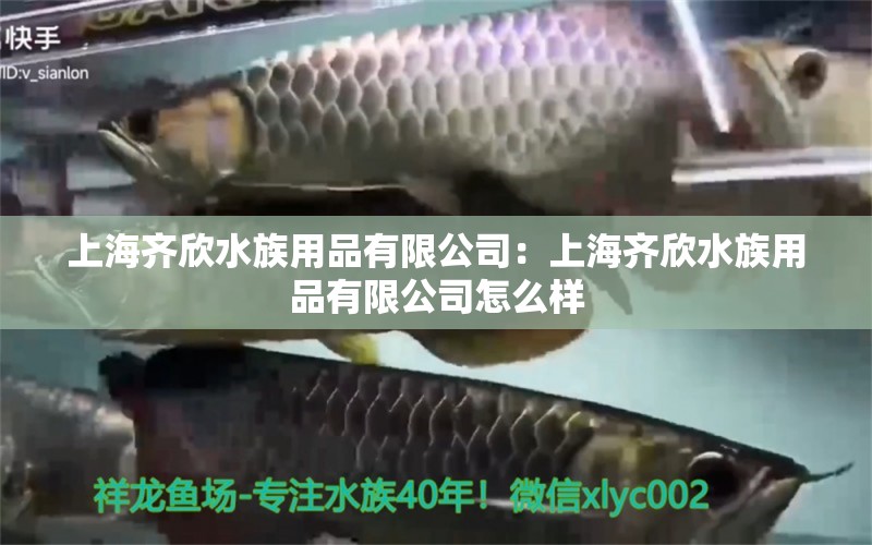 上海齊欣水族用品有限公司：上海齊欣水族用品有限公司怎么樣 水族用品