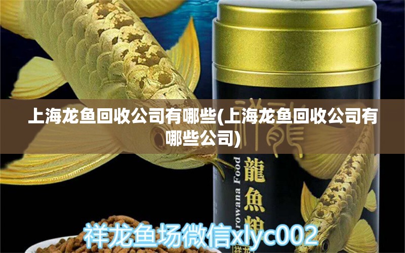 上海龍魚回收公司有哪些(上海龍魚回收公司有哪些公司) 帝王血鉆