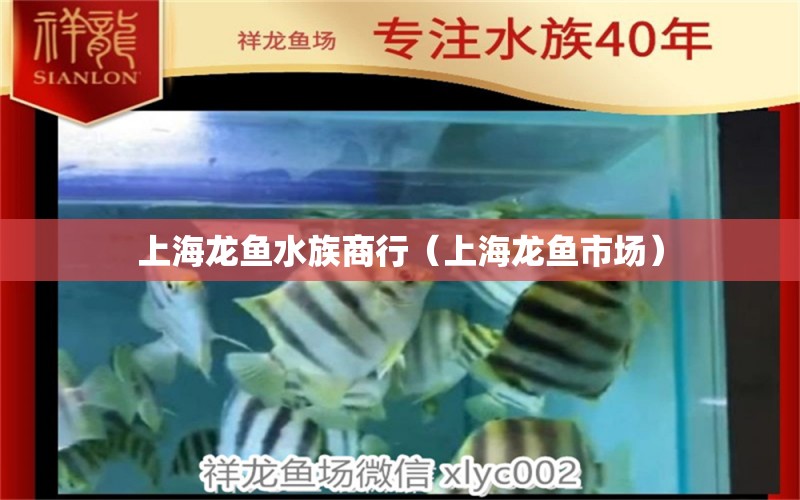 上海龍魚水族商行（上海龍魚市場） 全國水族館企業(yè)名錄