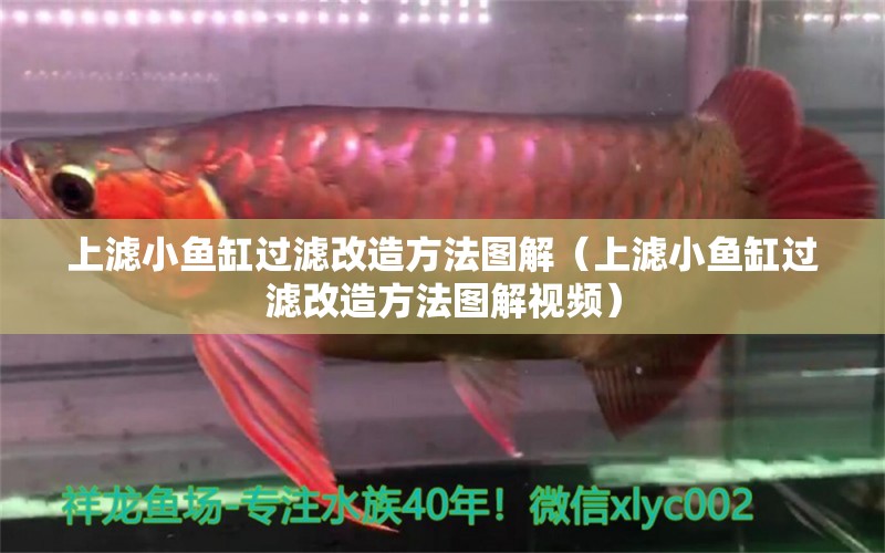 上濾小魚缸過(guò)濾改造方法圖解（上濾小魚缸過(guò)濾改造方法圖解視頻）