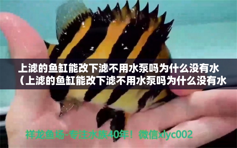 上濾的魚缸能改下濾不用水泵嗎為什么沒有水（上濾的魚缸能改下濾不用水泵嗎為什么沒有水了）