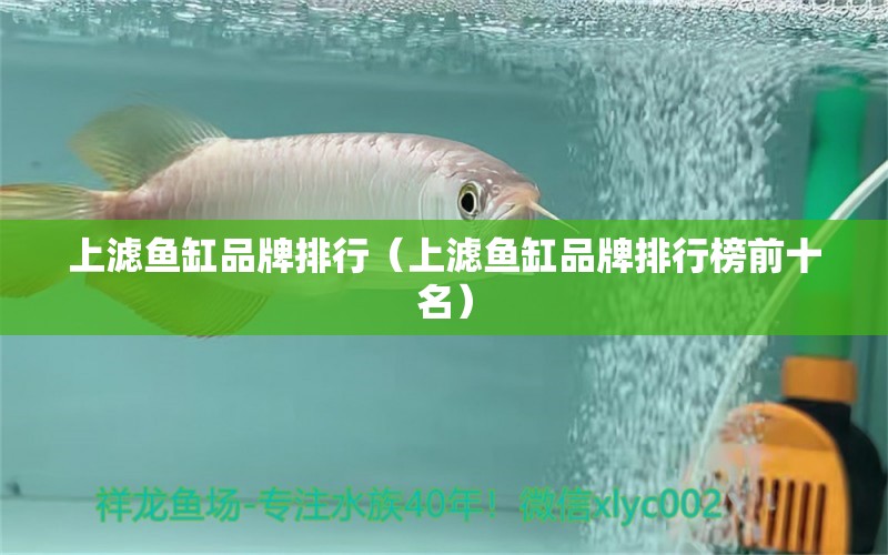 上濾魚缸品牌排行（上濾魚缸品牌排行榜前十名）