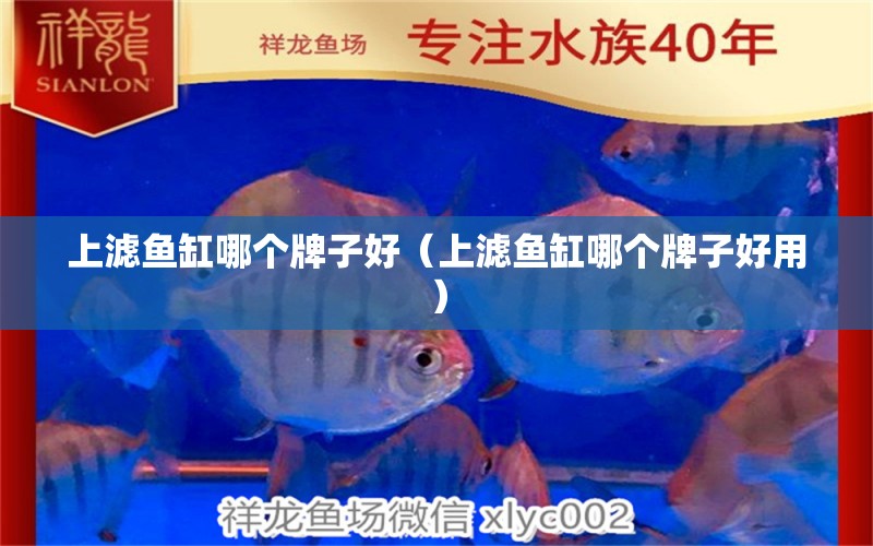 上濾魚缸哪個(gè)牌子好（上濾魚缸哪個(gè)牌子好用）