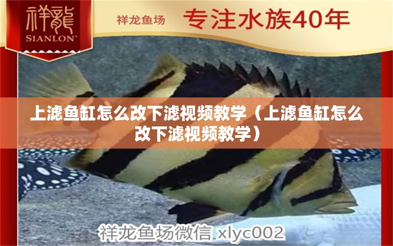 上濾魚缸怎么改下濾視頻教學(xué)（上濾魚缸怎么改下濾視頻教學(xué)）