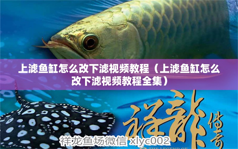 上濾魚缸怎么改下濾視頻教程（上濾魚缸怎么改下濾視頻教程全集） 委內(nèi)瑞拉奧里諾三間魚苗