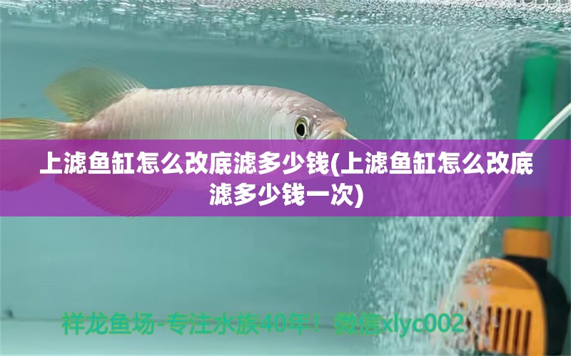 上濾魚(yú)缸怎么改底濾多少錢(上濾魚(yú)缸怎么改底濾多少錢一次) 撒旦鴨嘴魚(yú)