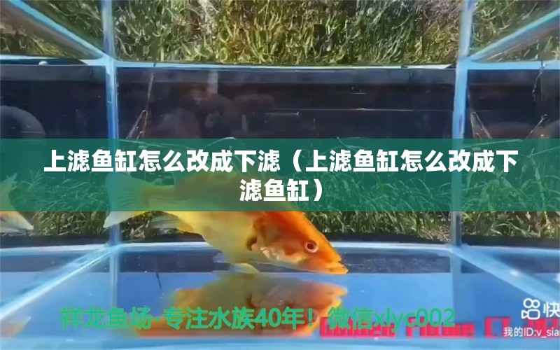 上濾魚缸怎么改成下濾（上濾魚缸怎么改成下濾魚缸）