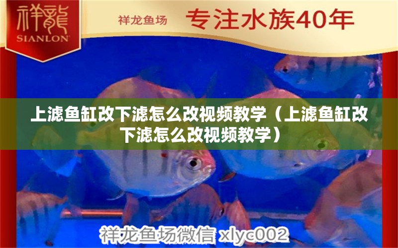 上濾魚缸改下濾怎么改視頻教學(xué)（上濾魚缸改下濾怎么改視頻教學(xué)）