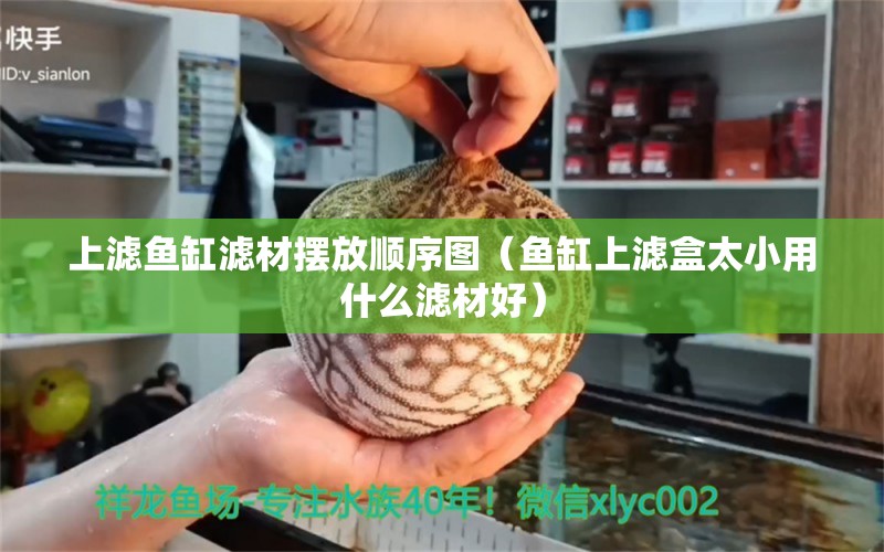 上濾魚缸濾材擺放順序圖（魚缸上濾盒太小用什么濾材好）