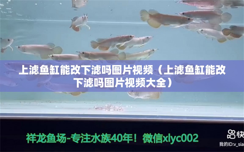 上濾魚缸能改下濾嗎圖片視頻（上濾魚缸能改下濾嗎圖片視頻大全）