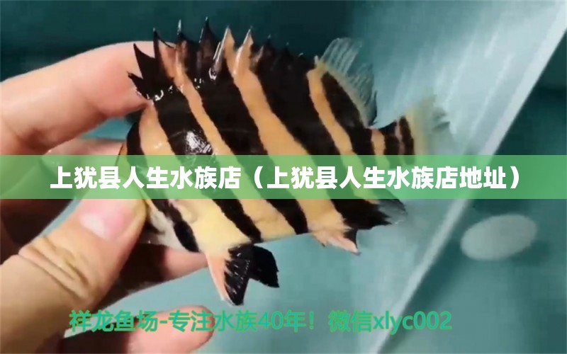 上猶縣人生水族店（上猶縣人生水族店地址） 全國(guó)水族館企業(yè)名錄