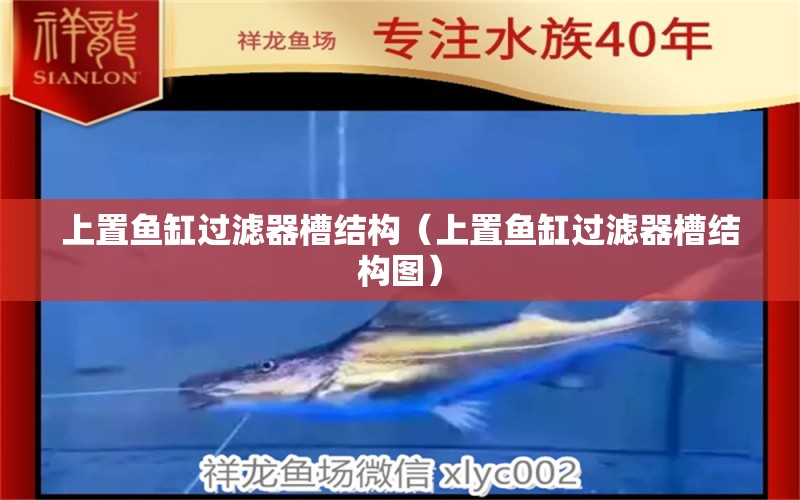 上置魚缸過濾器槽結(jié)構(gòu)（上置魚缸過濾器槽結(jié)構(gòu)圖） 熊貓異形魚L46