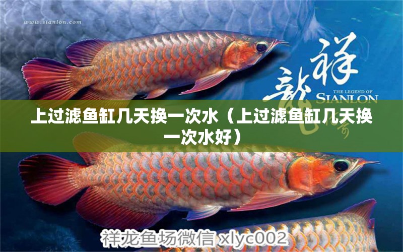 上過(guò)濾魚(yú)缸幾天換一次水（上過(guò)濾魚(yú)缸幾天換一次水好） 可麗愛(ài)魚(yú)缸