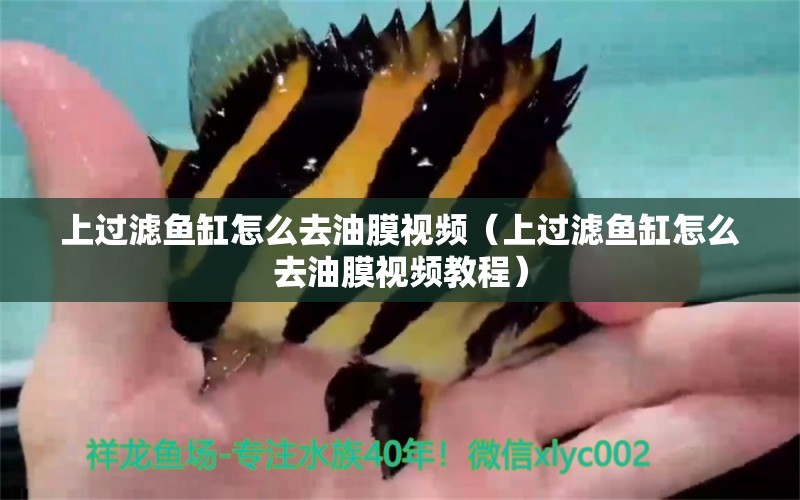 上過濾魚缸怎么去油膜視頻（上過濾魚缸怎么去油膜視頻教程）