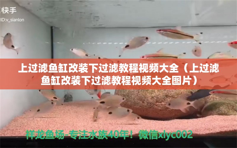 上過濾魚缸改裝下過濾教程視頻大全（上過濾魚缸改裝下過濾教程視頻大全圖片）