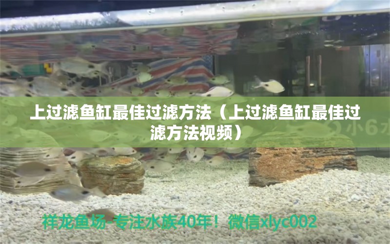 上過濾魚缸最佳過濾方法（上過濾魚缸最佳過濾方法視頻）