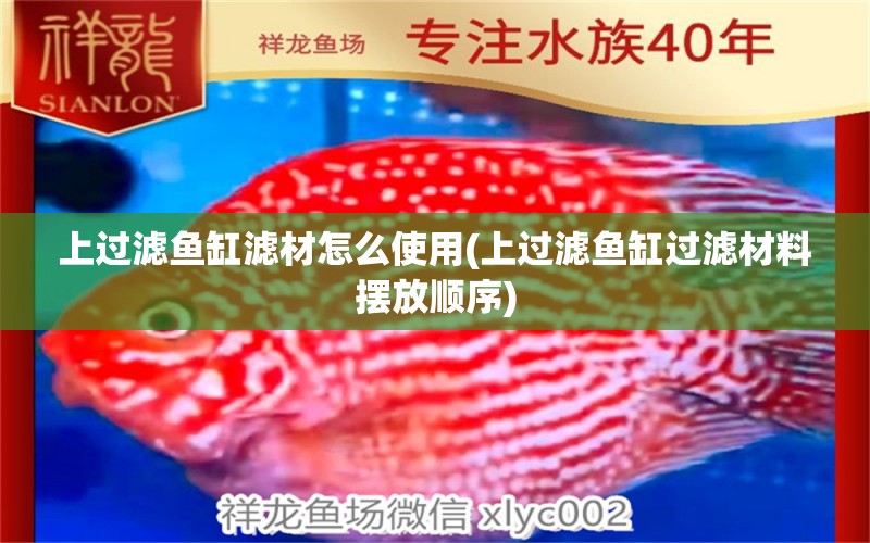 上過濾魚缸濾材怎么使用(上過濾魚缸過濾材料擺放順序) 虎斑恐龍魚 第1張