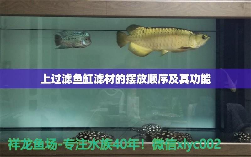 上過濾魚缸濾材的擺放順序及其功能