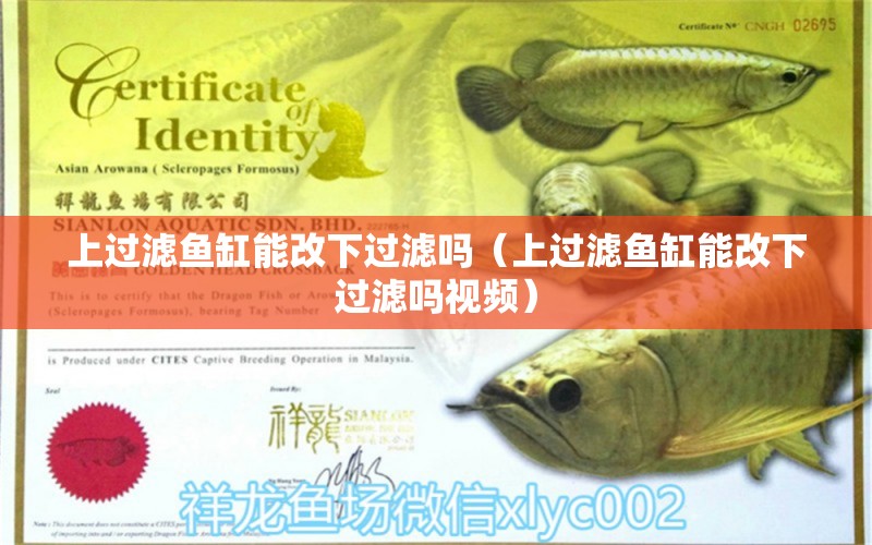 上過濾魚缸能改下過濾嗎（上過濾魚缸能改下過濾嗎視頻）