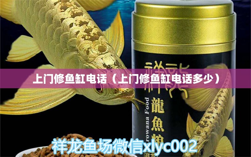 上門修魚缸電話（上門修魚缸電話多少）