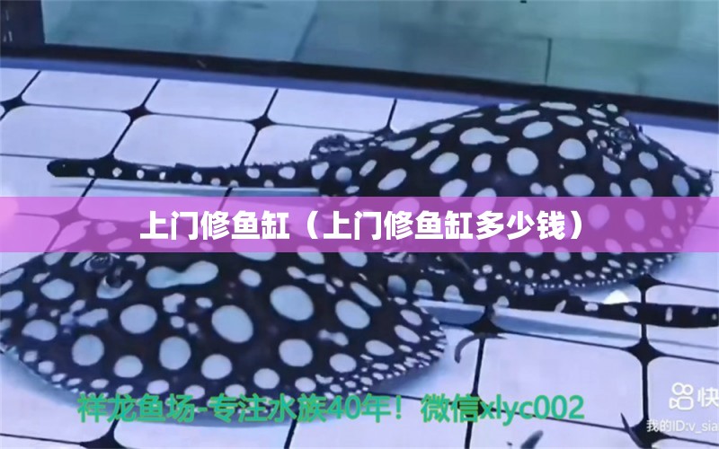 上門修魚缸（上門修魚缸多少錢）