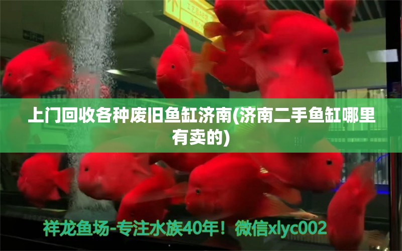 上門(mén)回收各種廢舊魚(yú)缸濟(jì)南(濟(jì)南二手魚(yú)缸哪里有賣(mài)的) 朱巴利魚(yú)苗