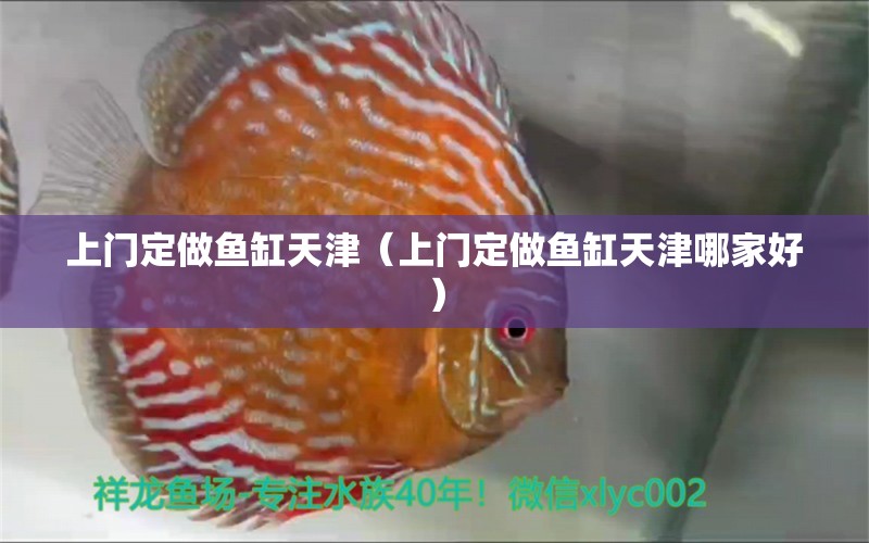 上門定做魚缸天津（上門定做魚缸天津哪家好） 觀賞魚市場（混養(yǎng)魚）