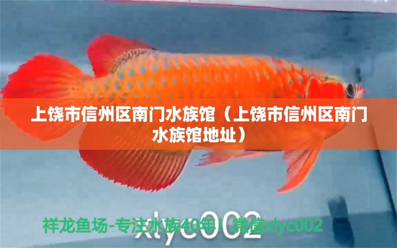 上饒市信州區(qū)南門水族館（上饒市信州區(qū)南門水族館地址）