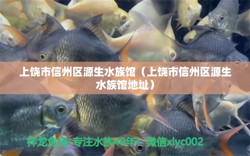 上饒市信州區(qū)源生水族館（上饒市信州區(qū)源生水族館地址）