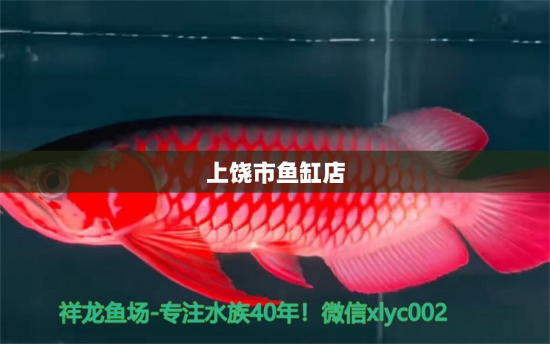 上饒市魚缸店 其他品牌魚缸