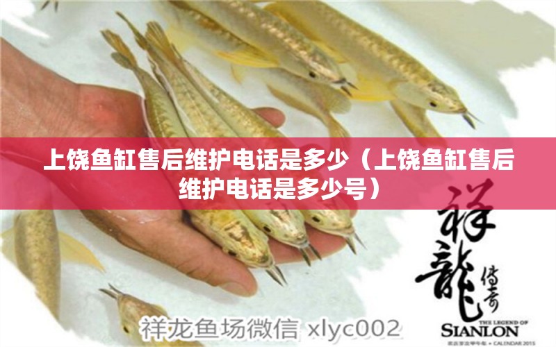 上饒魚(yú)缸售后維護(hù)電話是多少（上饒魚(yú)缸售后維護(hù)電話是多少號(hào)） 其他品牌魚(yú)缸