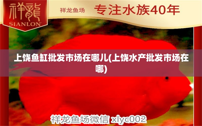 上饒魚缸批發(fā)市場在哪兒(上饒水產批發(fā)市場在哪) 觀賞魚飼料