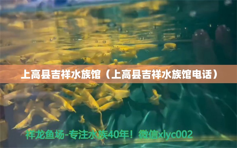 上高縣吉祥水族館（上高縣吉祥水族館電話）