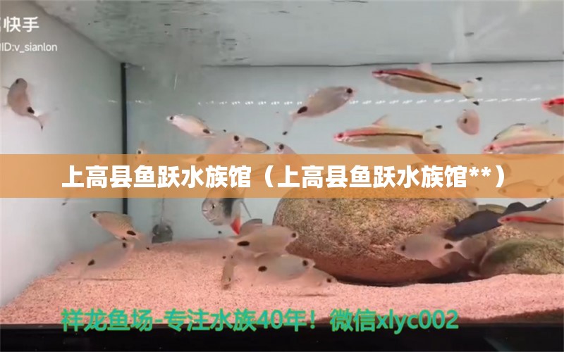 上高縣魚躍水族館（上高縣魚躍水族館**）